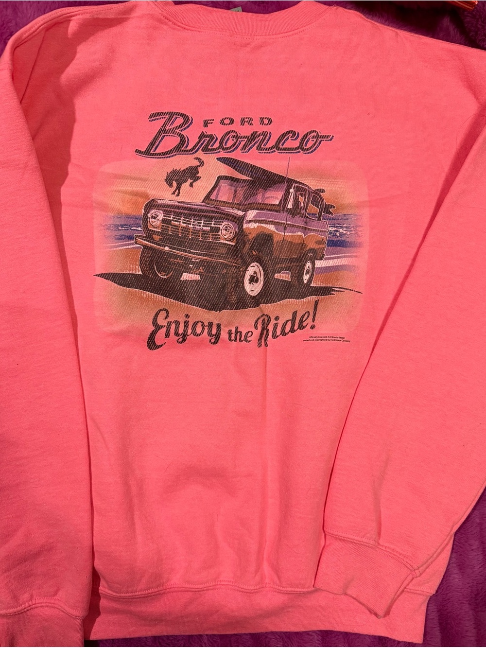 Bronco Crewneck - Picture 3 of 3